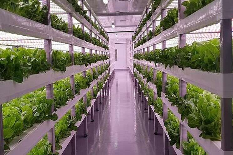 Midland's Agrolytics Corp to build automated indoor farm pilot Midland's Agrolytics Corp to build automated indoor farm pilot