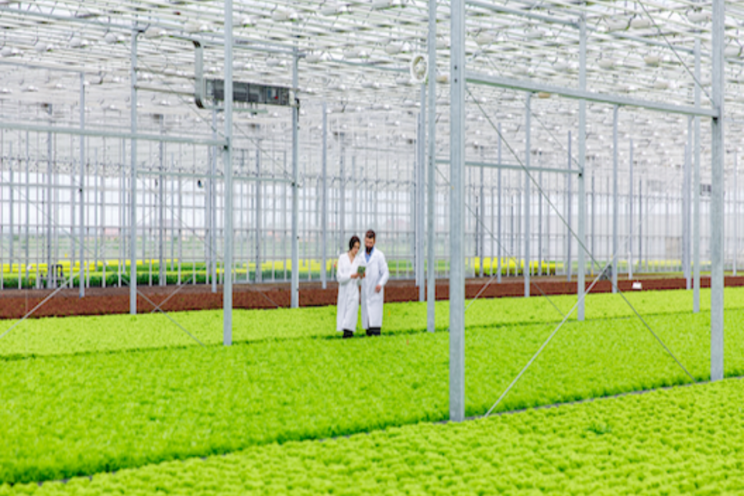 Interview| Environment control for small growers Interview| Environment control for small growers