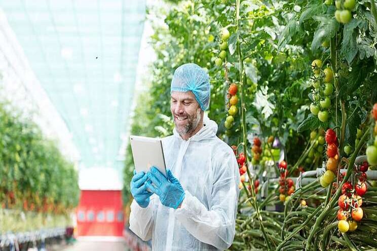 More precise data and better crop steering with GroSens More precise data and better crop steering with GroSens