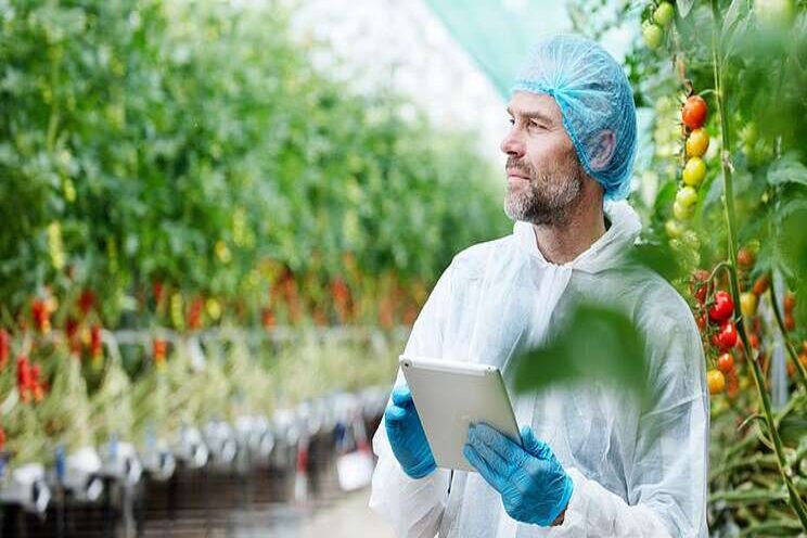 Leverage todays newest greenhouse technology Leverage todays newest greenhouse technology
