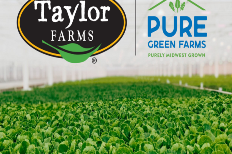 Leading outdoor grower ventures into greenhouse production Leading outdoor grower ventures into greenhouse production