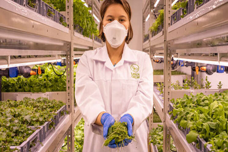 Women's Equality Day: Women in agriculture & vertical farming Women's Equality Day: Women in agriculture & vertical farming