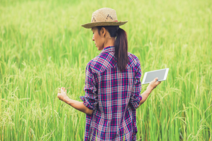 Tech is shaping the future of food, so do traditional practices Tech is shaping the future of food, so do traditional practices