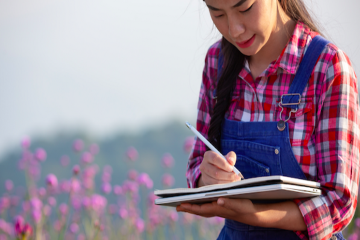 A holiday crop examination A holiday crop examination
