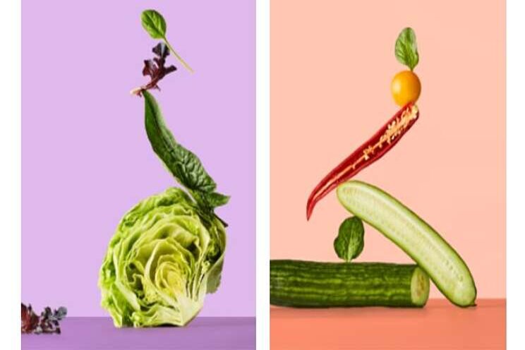 Unfold Seeds major growth across vertical farming industry Unfold Seeds major growth across vertical farming industry
