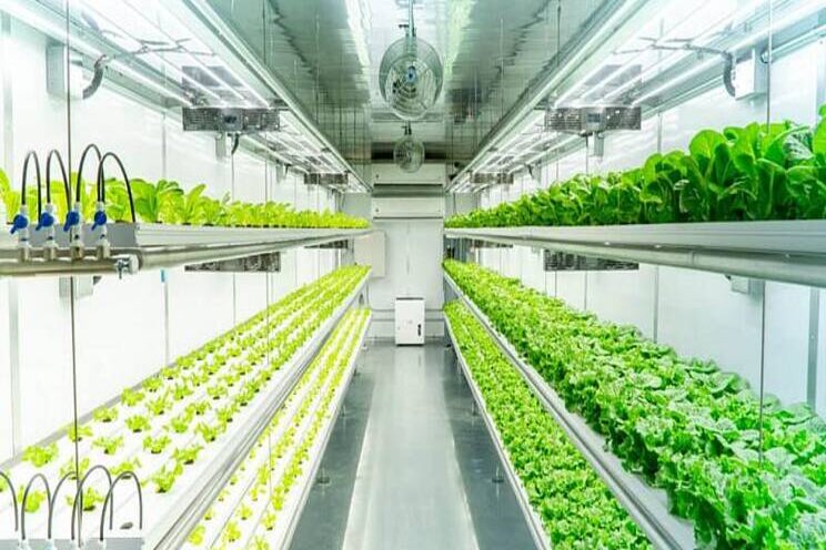 Container based vertical farming market has huge trends Container based vertical farming market has huge trends