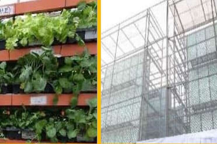 Metro Manila's tallest vertical farm expands Metro Manila's tallest vertical farm expands