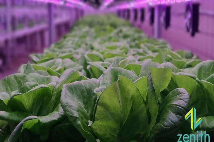 Vertical Farming Congress raises expectations Vertical Farming Congress raises expectations