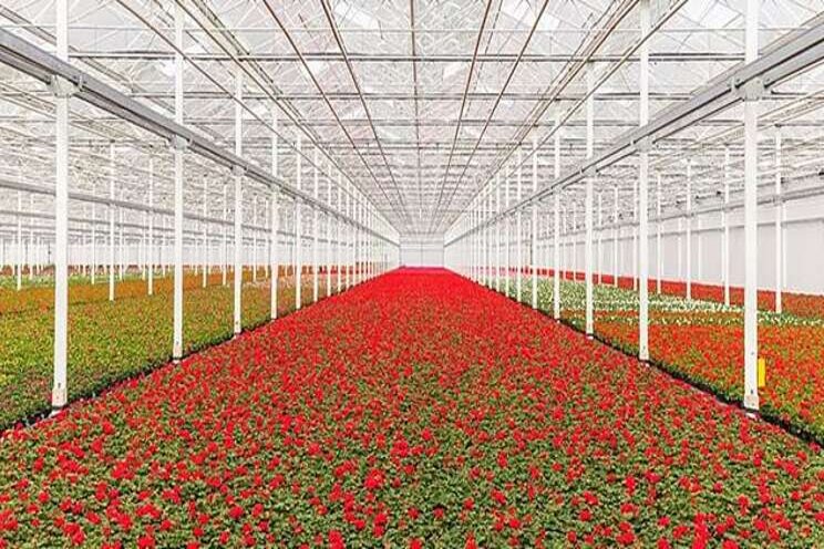 Climate sensors ensure optimum growing conditions Climate sensors ensure optimum growing conditions