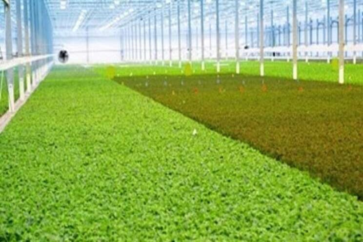 BrightFarms acquired by Cox Enterprises BrightFarms acquired by Cox Enterprises