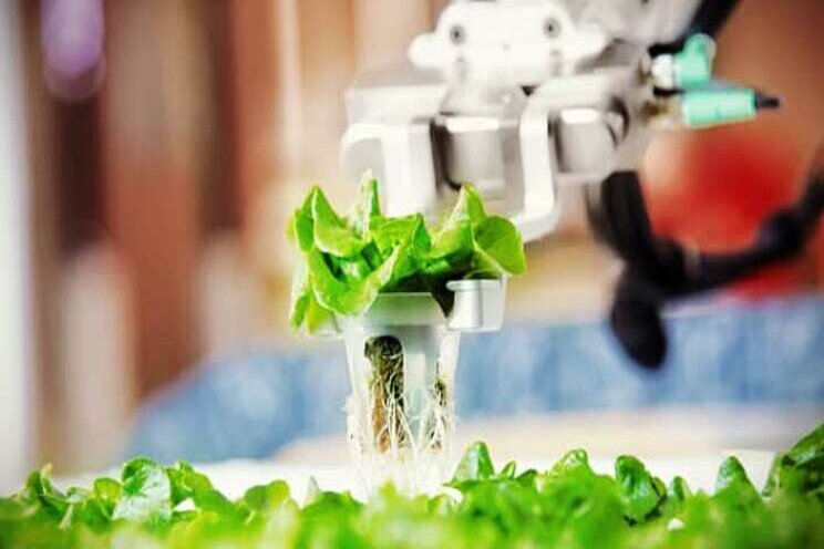 Yes, there's a robot that can save salad! Yes, there's a robot that can save salad!