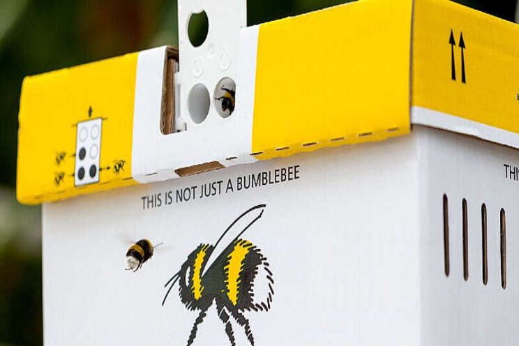 Bumblebee hives with a sustainable future Bumblebee hives with a sustainable future