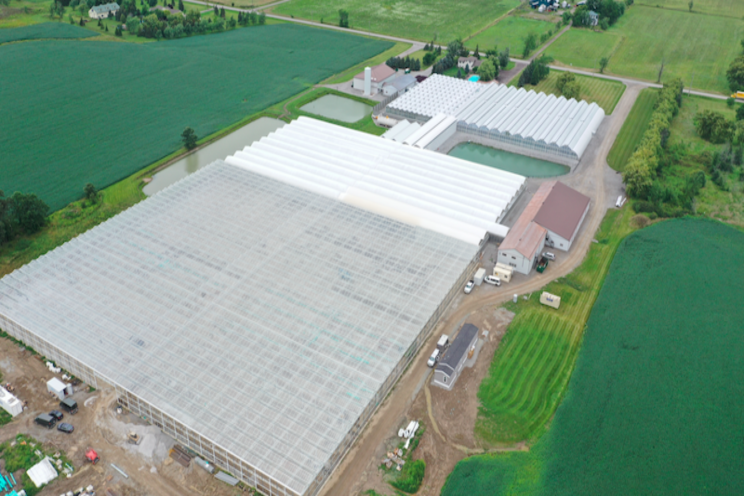 Foliera's strong future with their latest greenhouse Foliera's strong future with their latest greenhouse
