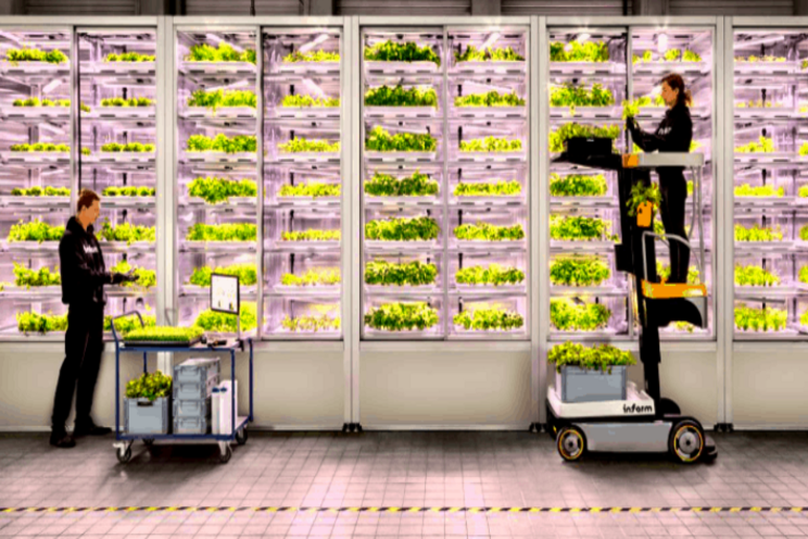 Infarm to open second vertical farm in The UK Infarm to open second vertical farm in The UK