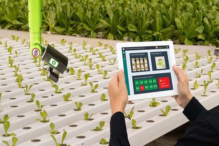 Innovations with promise for sustainable agri Innovations with promise for sustainable agri