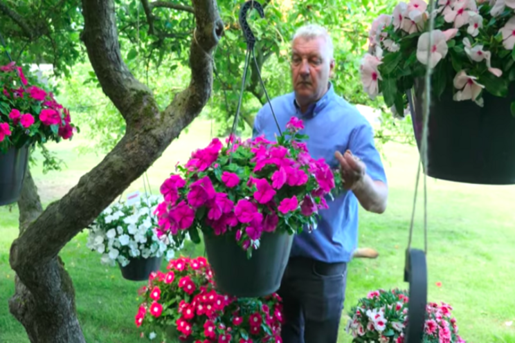 Videos highlighting new plant variety introductions Videos highlighting new plant variety introductions