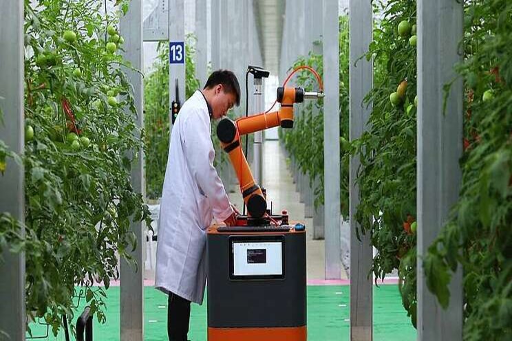 Pinduoduo launches 2021 Smart Agriculture Competition Pinduoduo launches 2021 Smart Agriculture Competition