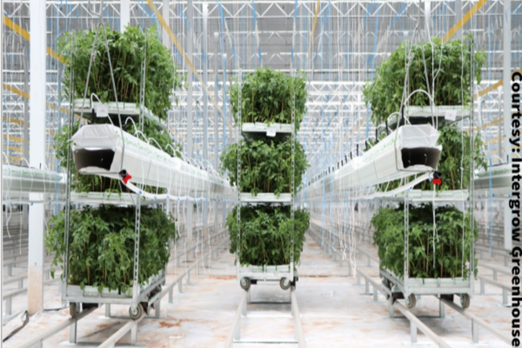Intergrow greenhouse expansion completed Intergrow greenhouse expansion completed