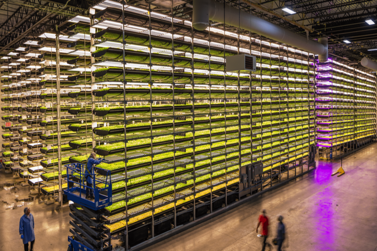 AeroFarms is trying to cultivate the future of vertical farming AeroFarms is trying to cultivate the future of vertical farming