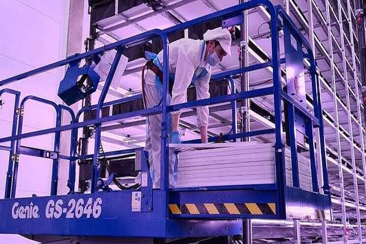 Genie scissors assist 'Europe's largest' vertical farm Genie scissors assist 'Europe's largest' vertical farm