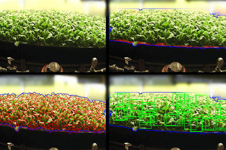 Partnership for next gen AI-enabled plant vision technology Partnership for next gen AI-enabled plant vision technology