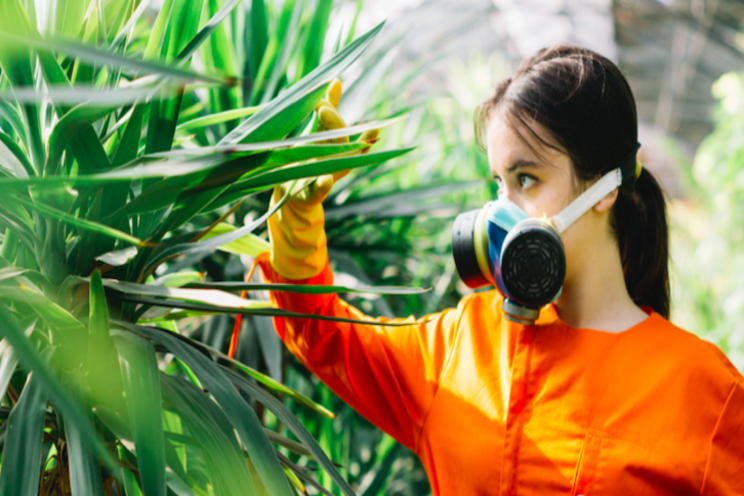 $430M to replace synthetic fertilizers in agriculture $430M to replace synthetic fertilizers in agriculture