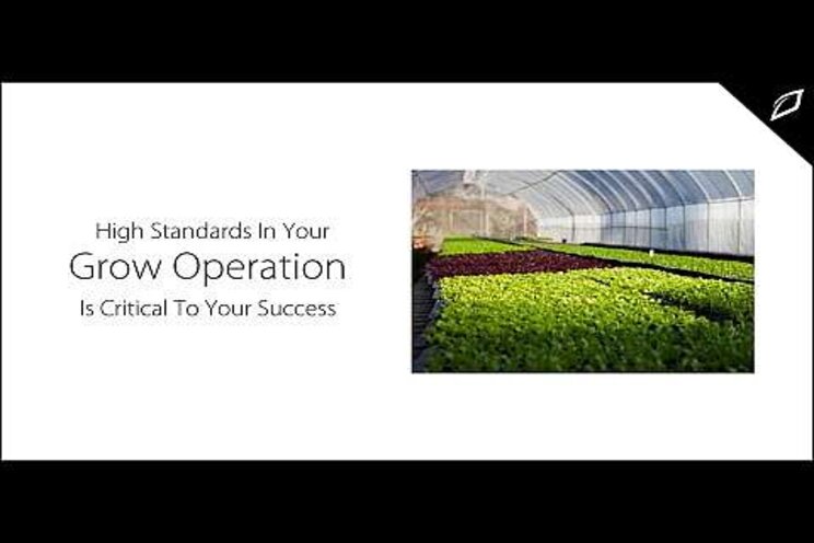 High standards in grow operation is critical to success High standards in grow operation is critical to success