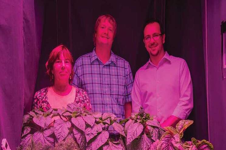 Greenhouse lighting education like you've never seen before Greenhouse lighting education like you've never seen before