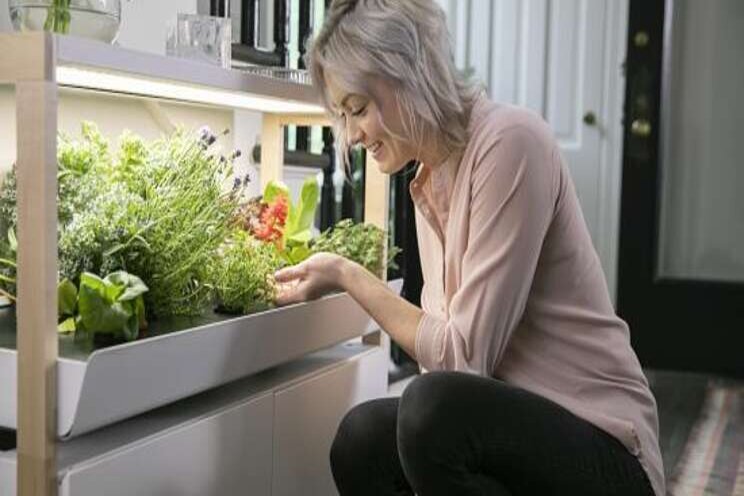 $9M to expand hydroponic gardens $9M to expand hydroponic gardens
