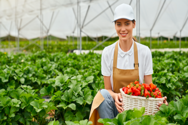 European pension managers go big for indoor ag European pension managers go big for indoor ag