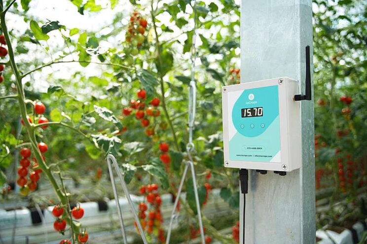 Korean AgTech Startup ioCrops Raises $1.6M