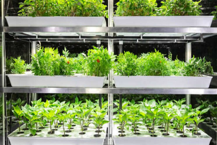 Providing fresher food to top universities across America Providing fresher food to top universities across America