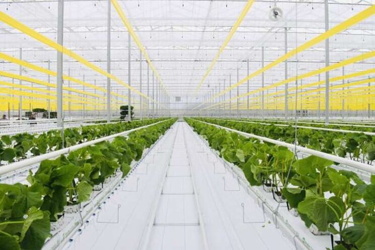 Westmoreland/Topline Farms announces 25 acre expansion Westmoreland/Topline Farms announces 25 acre expansion