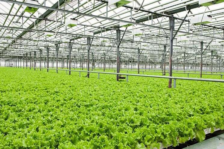 Integrating sensors key to improving growth Integrating sensors key to improving growth