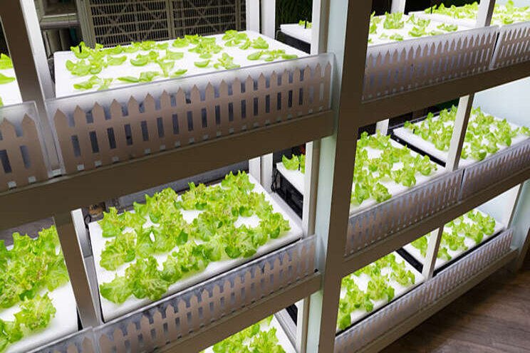 Collaboration for social-impact vertical farming projects Collaboration for social-impact vertical farming projects