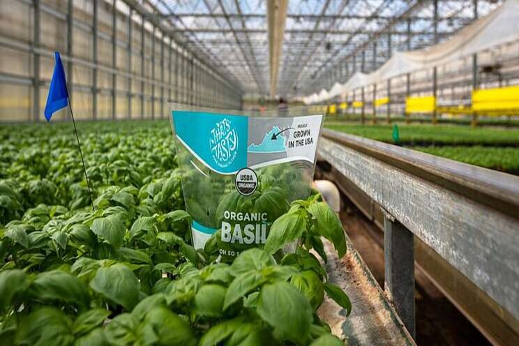 Indoor farm picks former Starbucks CMO as new CEO Indoor farm picks former Starbucks CMO as new CEO