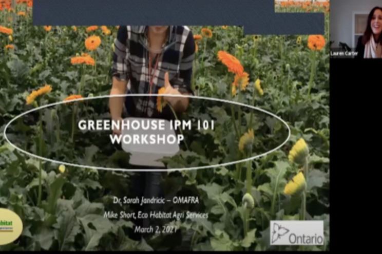 Pest management experts release free online training videos Pest management experts release free online training videos