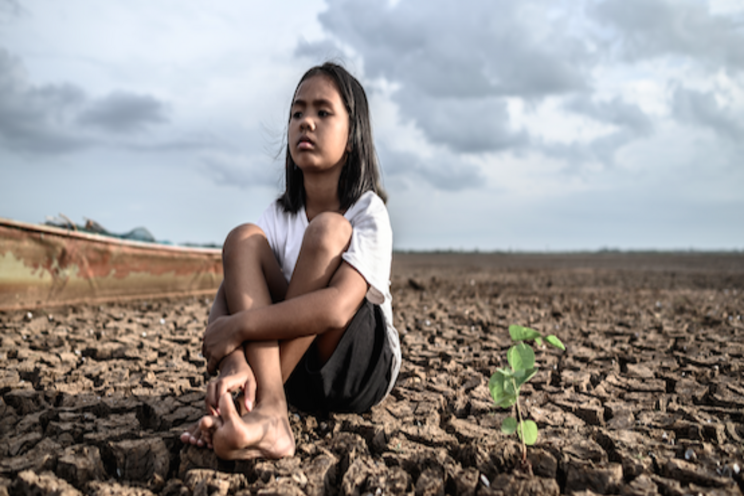 A refresher on dealing with drought conditions A refresher on dealing with drought conditions