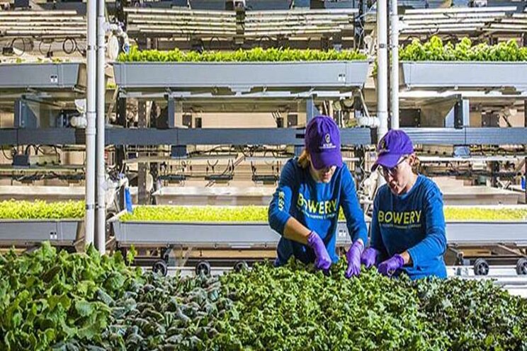AI in agri: The future of sustainable farming AI in agri: The future of sustainable farming