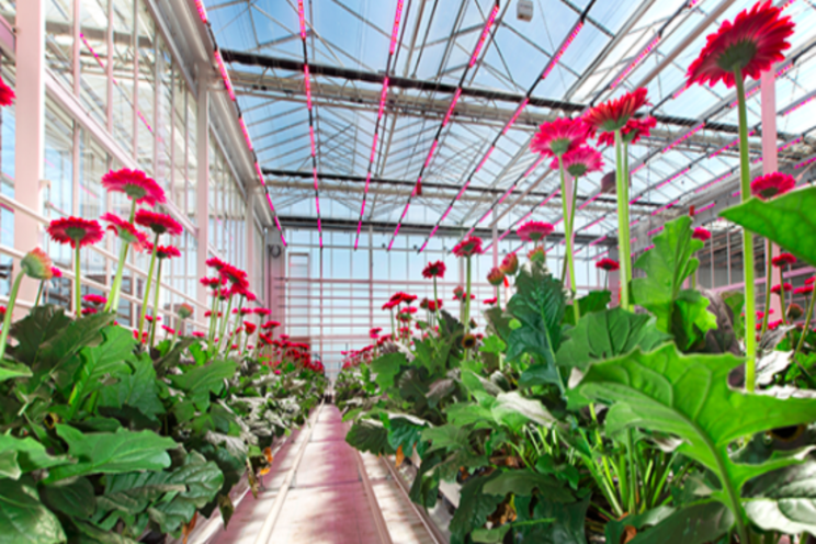 Towards a climate-neutral greenhouse crop production Towards a climate-neutral greenhouse crop production