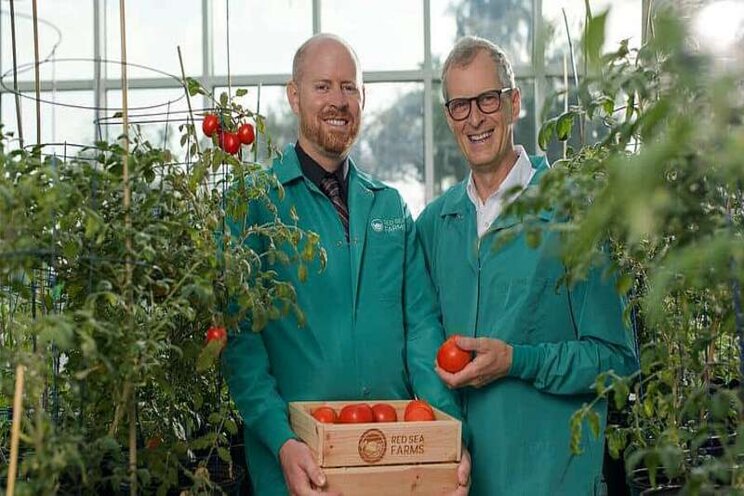 Red Sea Farms raises $10 million to expand across Saudi Red Sea Farms raises $10 million to expand across Saudi
