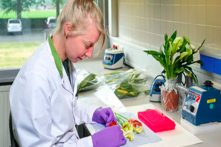 UK campaign to negotiate a plant health agreement UK campaign to negotiate a plant health agreement