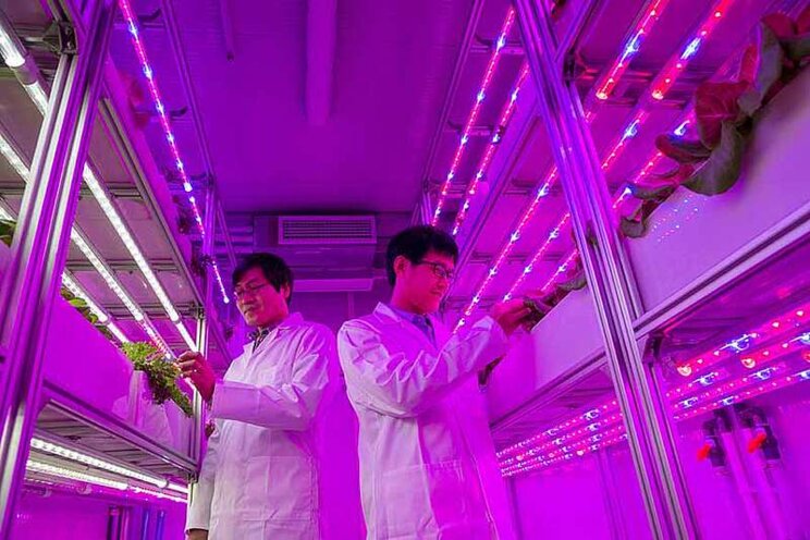 Vertical farming world to meet in September Vertical farming world to meet in September