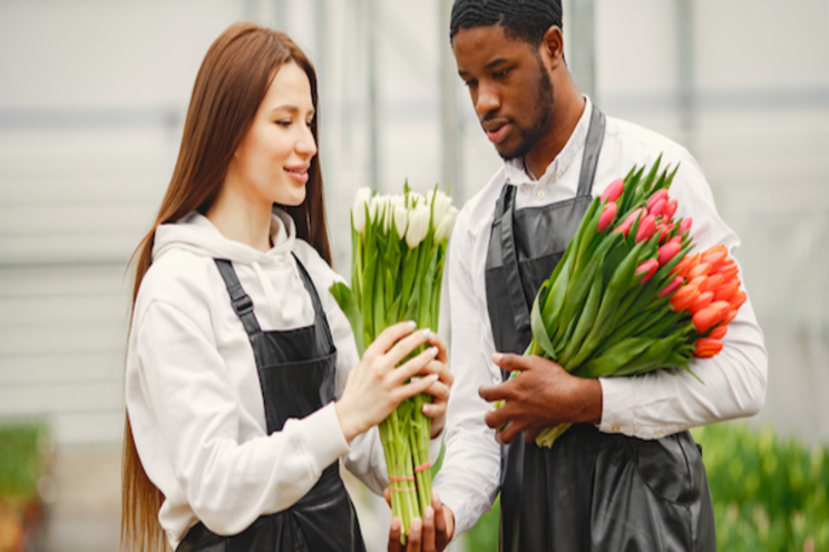 Spanish biostimulant label is extended to include horti crops Spanish biostimulant label is extended to include horti crops