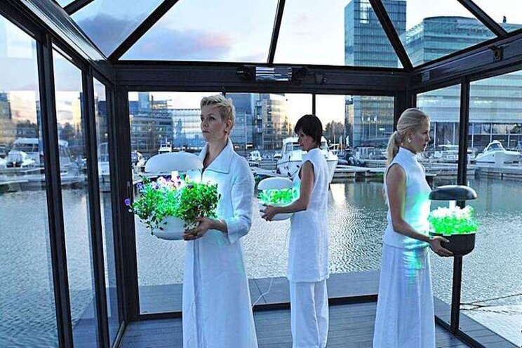 The key factor in the success of smart indoor gardens The key factor in the success of smart indoor gardens