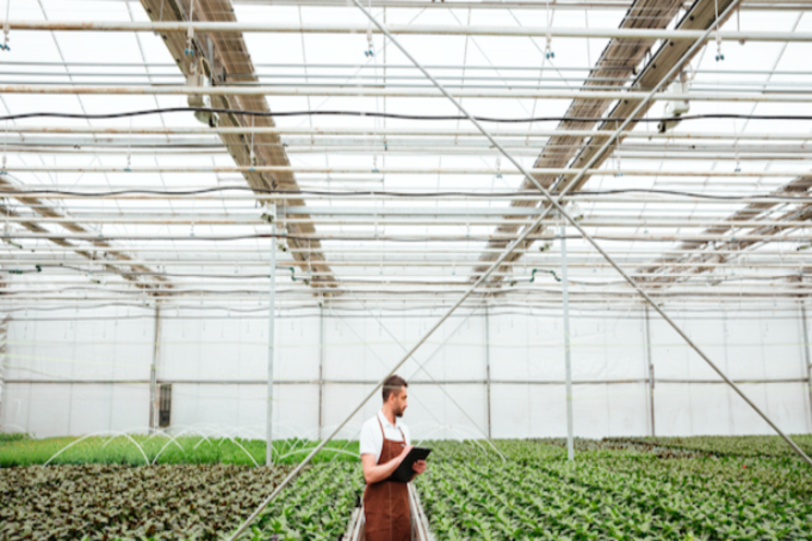 Rising acceptance of CEA fuels demand in hydroponics market Rising acceptance of CEA fuels demand in hydroponics market