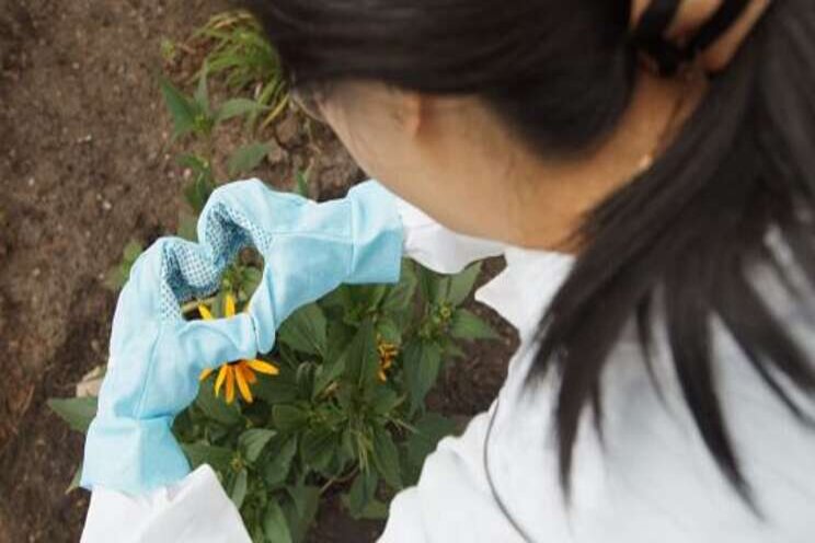 Implementation of pollinator-friendly practices by 2025 Implementation of pollinator-friendly practices by 2025
