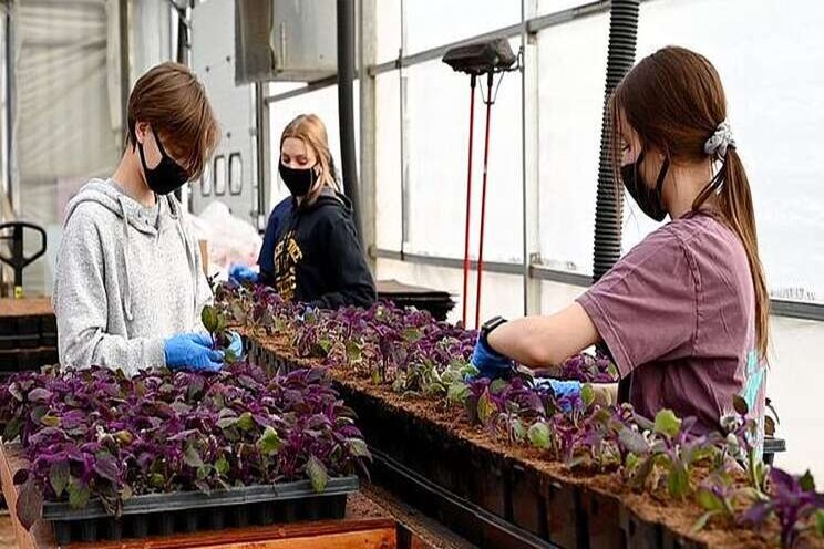 Green industry-specific training videos on airborne disease Green industry-specific training videos on airborne disease
