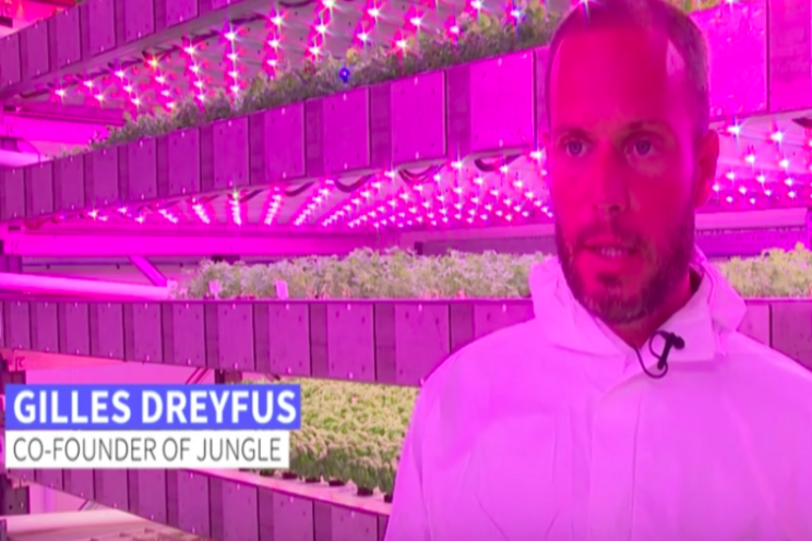 France's first 'vertical farm' sets its sights on sustainability France's first 'vertical farm' sets its sights on sustainability