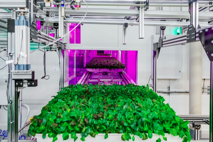 Robots take vertical farming to new heights Robots take vertical farming to new heights